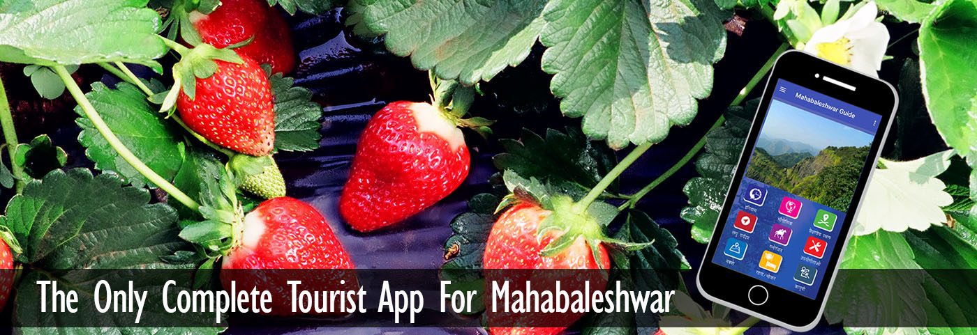 Mahabaleshwar Travel Guide Application