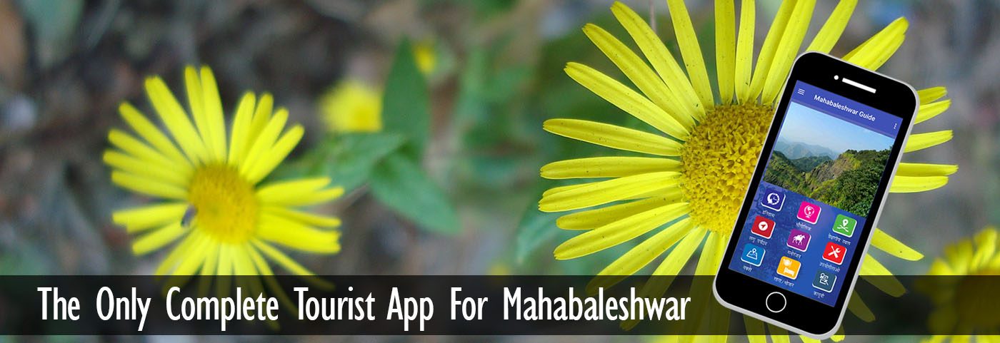 Mahabaleshwar Travel Guide Application