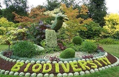 Biodiversity Park